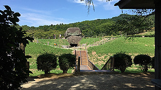img_5969_thumb.jpg