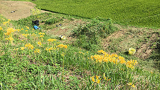 img_5980_thumb.jpg