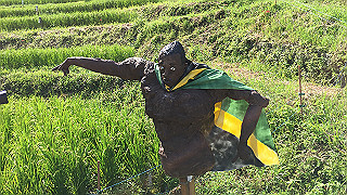 img_5984_thumb.jpg