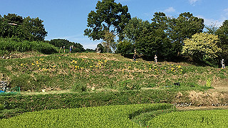 img_5985_thumb.jpg