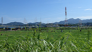 p9100928_thumb.jpg