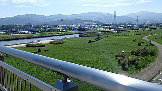 p9100930_thumb.jpg