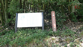 p9100964_thumb.jpg