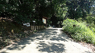 p9100965_thumb.jpg