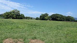 p9100969_thumb.jpg