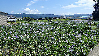 p9100982_thumb.jpg