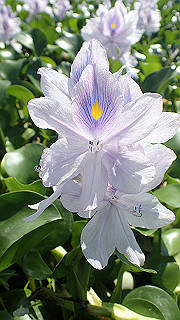 p9100984_thumb.jpg