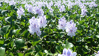 p9100985_thumb.jpg