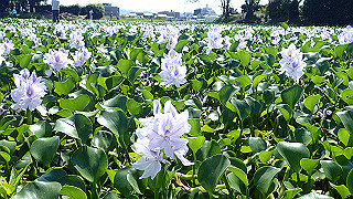 p9100986_thumb.jpg