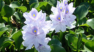 p9100987_thumb.jpg