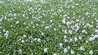 p9100988_thumb.jpg
