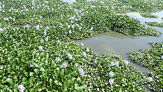 p9100989_thumb.jpg