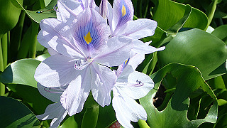 p9100990_thumb.jpg