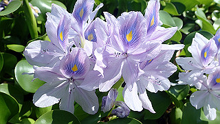 p9100991_thumb.jpg