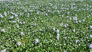 p9100992_thumb.jpg