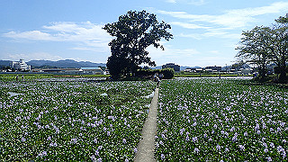 p9100993_thumb.jpg