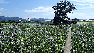 p9100994_thumb.jpg