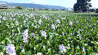 p9100995_thumb.jpg