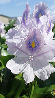 p9100996_thumb.jpg