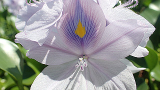 p9100997_thumb.jpg