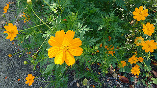 p9100998_thumb.jpg