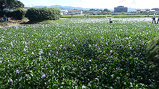 p9101000_thumb.jpg