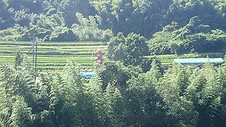 p9101006_thumb.jpg