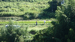 p9101007_thumb.jpg