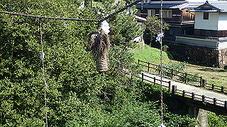 p9101008_thumb.jpg