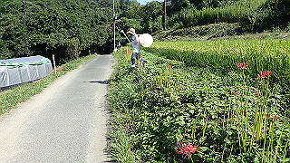 p9101012_thumb.jpg