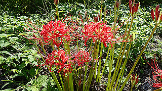 p9101013_thumb.jpg