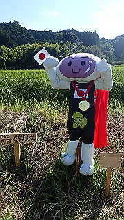 p9101024_thumb.jpg
