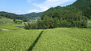 p9101025_thumb.jpg
