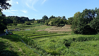 p9101033_thumb.jpg