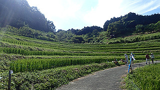 p9101034_thumb.jpg