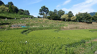 p9101035_thumb.jpg