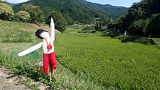p9101038_thumb.jpg