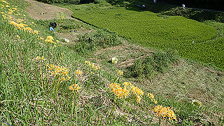 p9101039_thumb.jpg