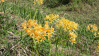 p9101040_thumb.jpg
