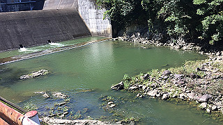 img_6078_thumb.jpg
