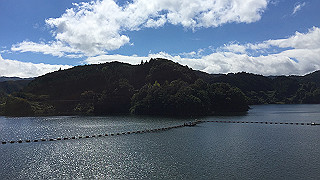 img_6080_thumb.jpg