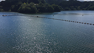 img_6087_thumb.jpg