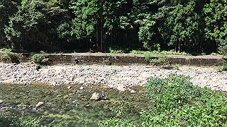 img_6107_thumb.jpg