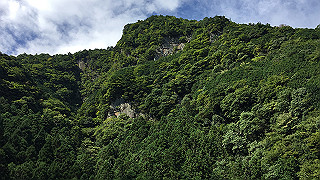 img_6110_thumb.jpg