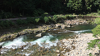 img_6111_thumb.jpg