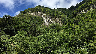 img_6127_thumb.jpg
