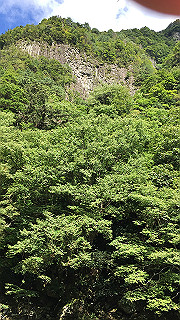 img_6128_thumb.jpg