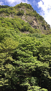 img_6129_thumb.jpg