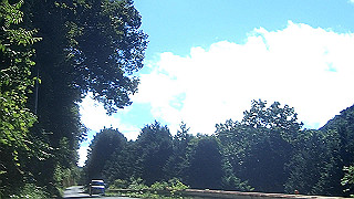 p9271072.mov_thumb.jpg