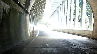 p9271087.mov_thumb.jpg